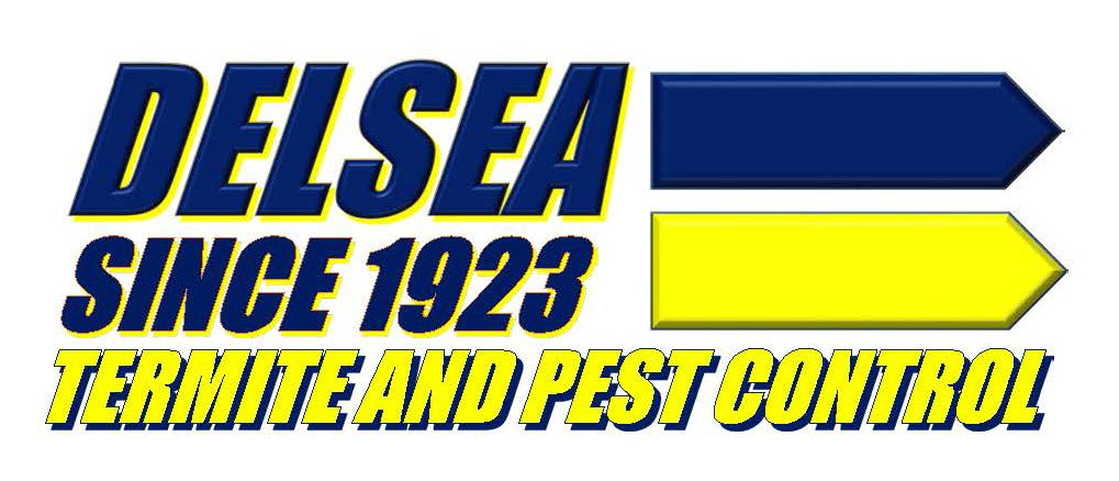 Avatar for Delsea Termite & Pest Control